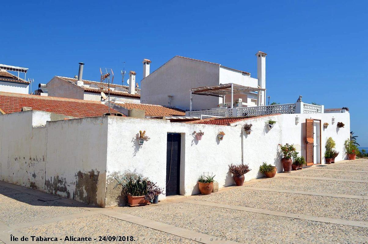 21 ALICANTE L ILE DE TABARCA (87).JPG